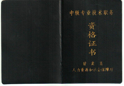 L(zhng)ڒ쿿̎߹C